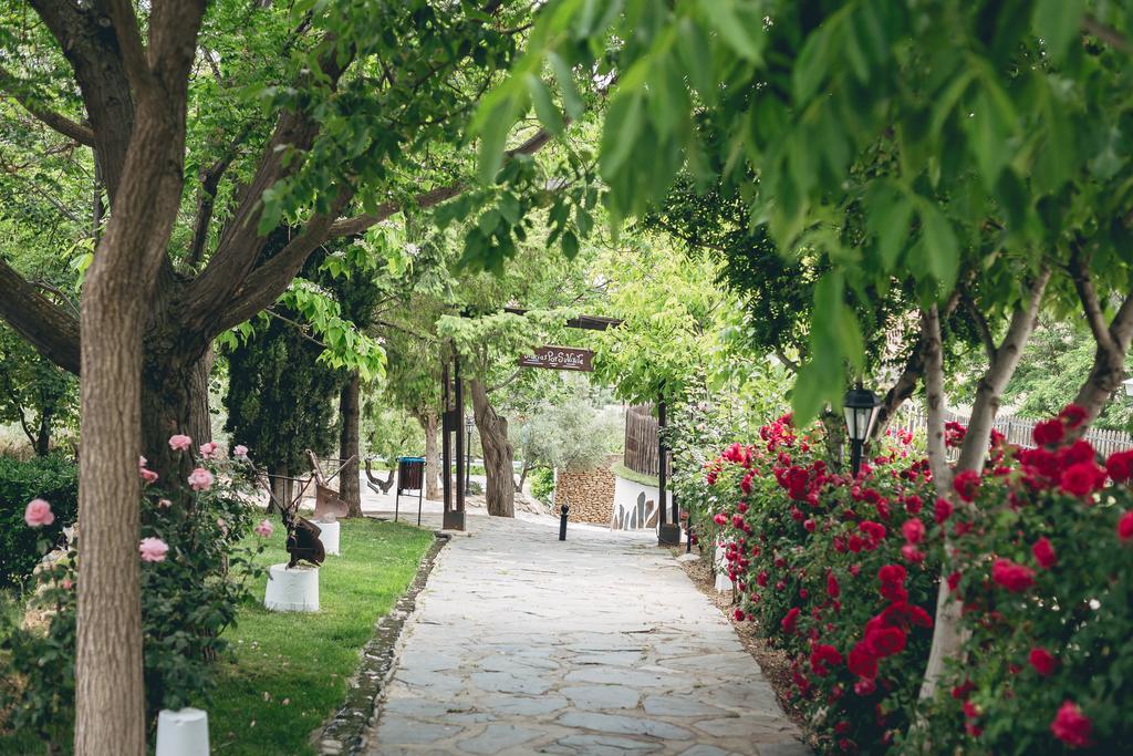 Casas Cueva Tio Tobas Guadix Hotel Alcudia de Guadix Kültér fotó
